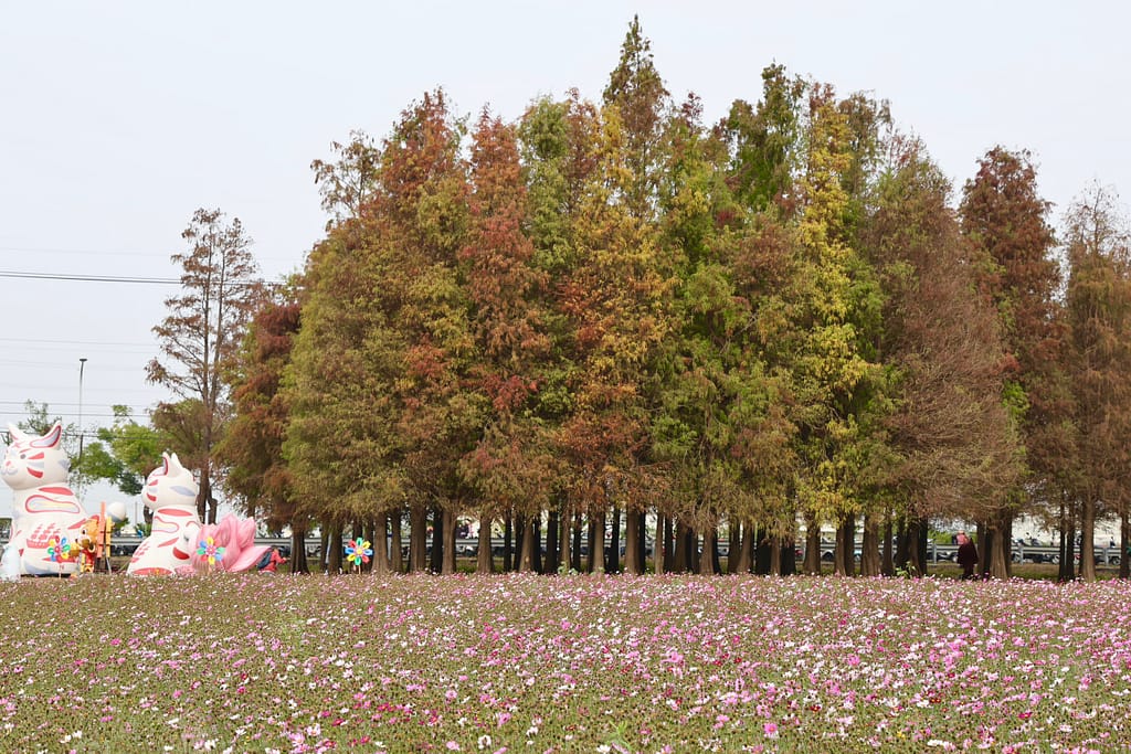 0c665ff9-a04d-4e65-9246-80ff543da37a - 尚新聞 Sun News