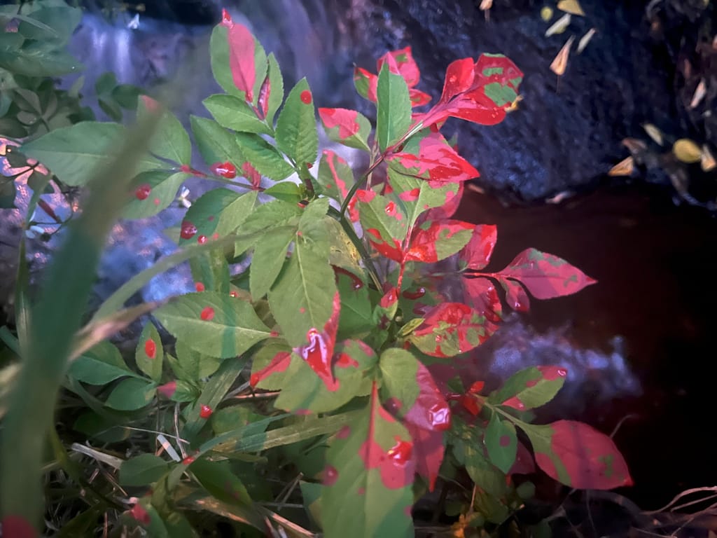 稽查人員在泰山區某一路橋旁發現有可疑紅色染料殘留 - 尚新聞 Sun News