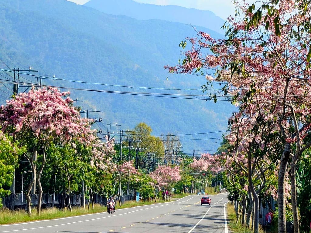 51e15673-287a-4679-8757-714363383917 - 尚新聞 Sun News