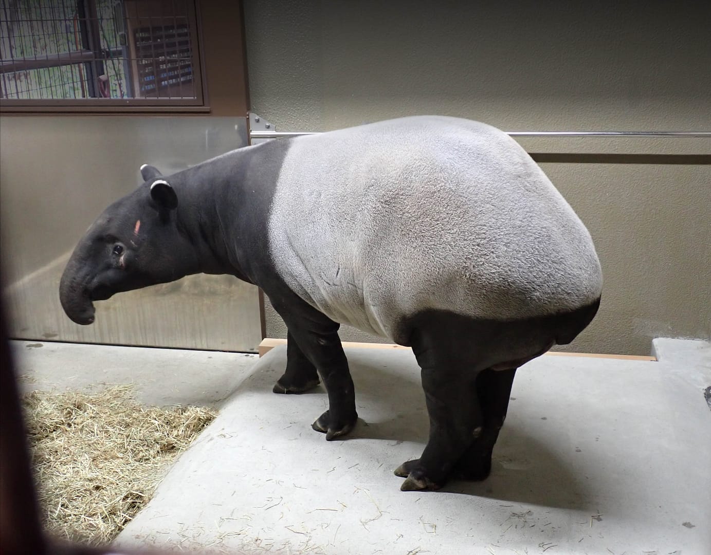 經過兩天一夜旅程終於抵達名古屋動植物園