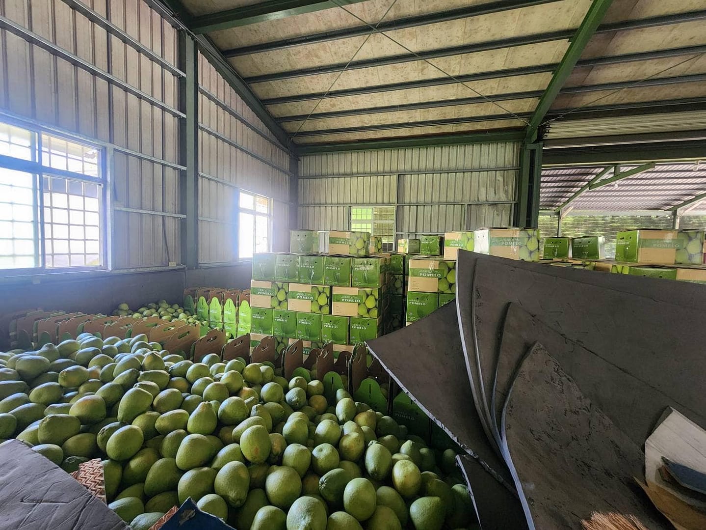 457496318_924459109700486_9215124114810512882_n