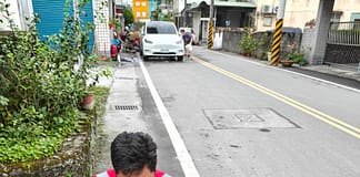進入花蓮蜂蛇活動高峰期!縣府給「五要五不」防蛇秘訣