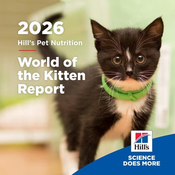 終身健康藍圖:Hill’s《World of the Kitten Report》助獸醫團隊及寵物主人掌握關鍵首年發展