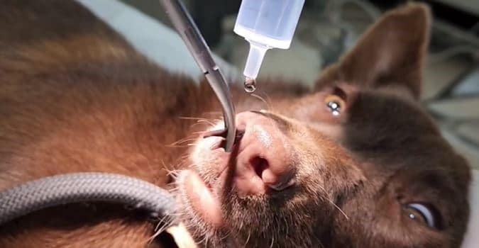 44b335c3-cb70-4475-a3c9-ada12f0679a3