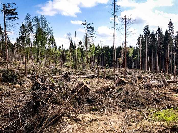 Joerg Farys Fotografie