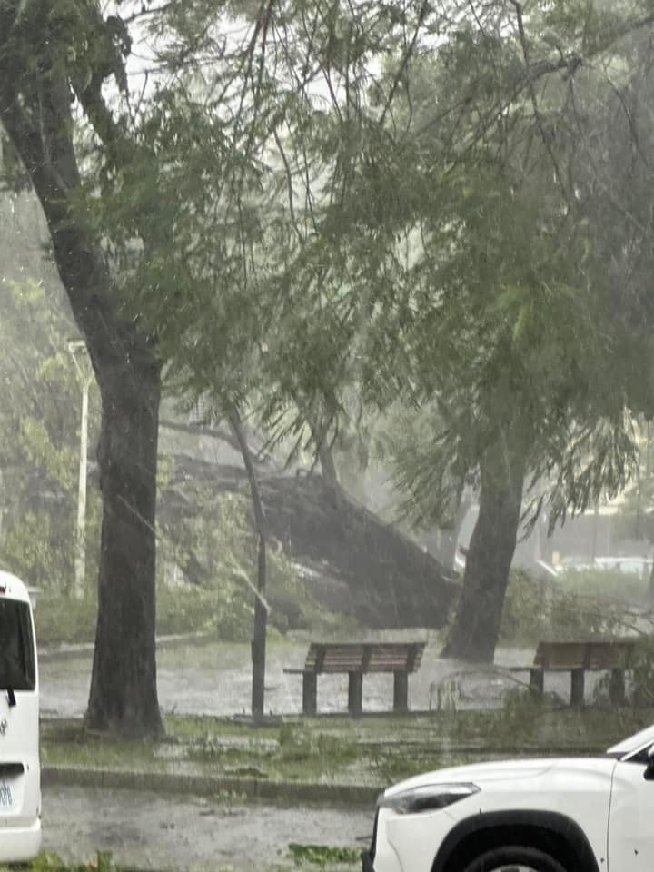 461928811_8578747748873591_5375373970874673417_n - 尚新聞 Sun News